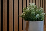 Ferienwohnung in Grömitz - Residenz am Kurpark- Wohnung 5 - Bild 23