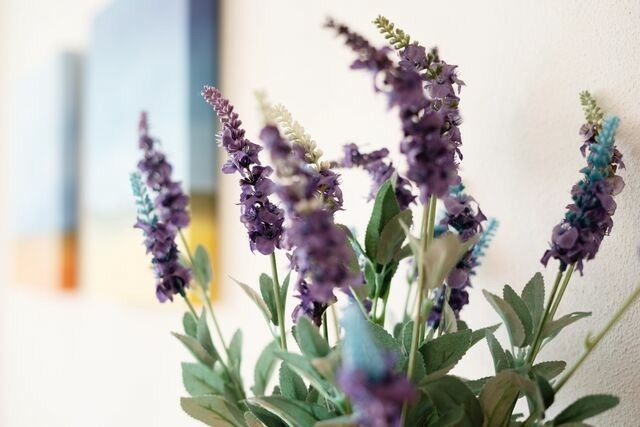 Ferienwohnung in Dahme - Berolina Wohnung 218 - Bild 18