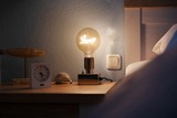 Ferienwohnung in Kellenhusen - Haus Meeresblick Deichliebe - Bild 23
