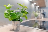 Ferienwohnung in Scharbeutz - Esprit 4 - Bild 20