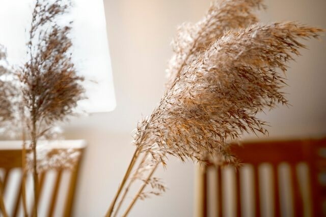Ferienwohnung in Scharbeutz - Haus Pegasus K&uuml;stenliebe - Bild 11