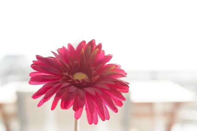 Ferienwohnung in Gr&ouml;mitz - Goldene Ruh Auszeit mit Aussicht - Bild 6