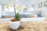 Ferienwohnung in Timmendorfer Strand - Haus Eva Mar am Meer Appartement 1 - Bild 13