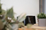 Ferienwohnung in Kellenhusen - Haus Strandblick Meergefl&uuml;ster - Bild 21