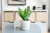 Ferienwohnung in Scharbeutz - Hansa-Residenz Dünennest - Bild 12
