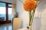 Ferienwohnung in Timmendorfer Strand - An der Waldkapelle 26 Waldblick - Bild 9