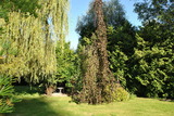 Ferienwohnung in Hagebök - Ferienwohnung Thiedmann - Bild 14