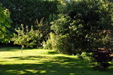 Ferienwohnung in Hagebök - Ferienwohnung Thiedmann - Bild 18
