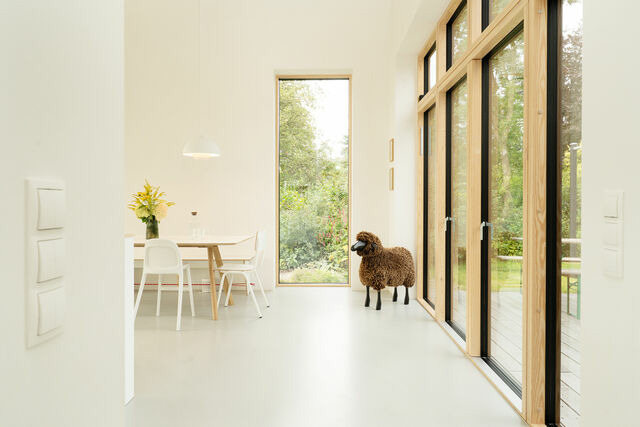 Ferienhaus in Riepsdorf - Haus am See - Bild 18 Ferienhaus in Riepsdorf - Haus am See - Bild 18