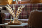 Ferienwohnung in Fehmarn - Apfel - Bild 4