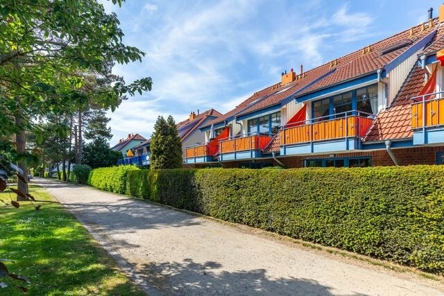 Ferienwohnung in Boltenhagen - Papillon 7-6 Wohnung "kleine Heimat" - Bild 24