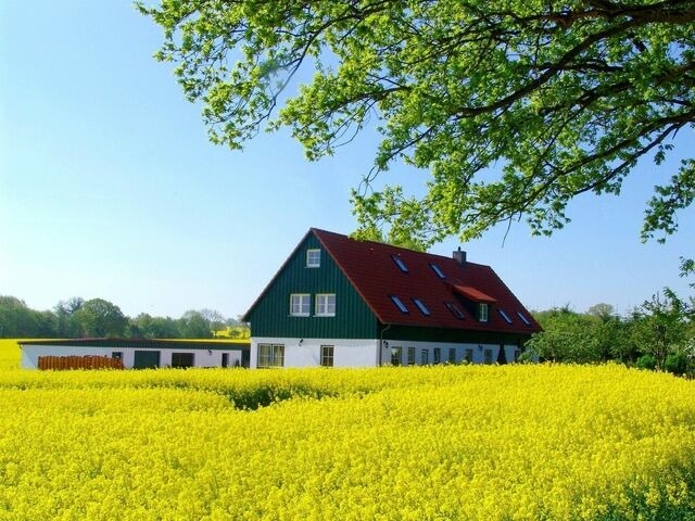 Ferienwohnung in Wangels - G&ouml;nn dir eine Auszeit mit Familie und Sauna - Bild 2