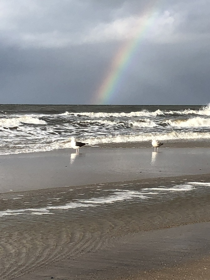 Ferienwohnung in Rostock - Ferienwohung Ostseewald - Bild 19