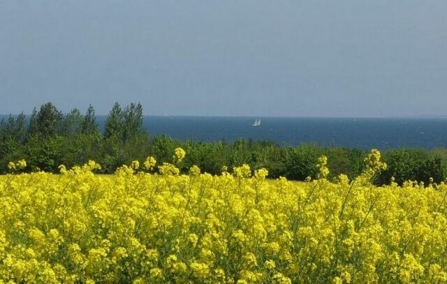 Ferienwohnung in Hohen Wieschendorf - Mimi an der Ostsee - ABC340 - Bild 20