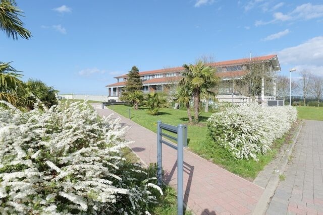 Ferienwohnung in Hohen Wieschendorf - Ankerplatz No. 10 - Aurora Vista - ABC531 - Bild 20
