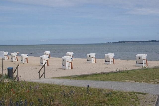 Ferienhaus in Hohen Wieschendorf - Strandhaus Fiete - Haus Walfisch - ABC330 - Bild 9