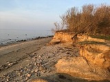 Ferienhaus in Hohen Wieschendorf - Strandhaus Fiete - Haus Walfisch - ABC330 - Bild 11