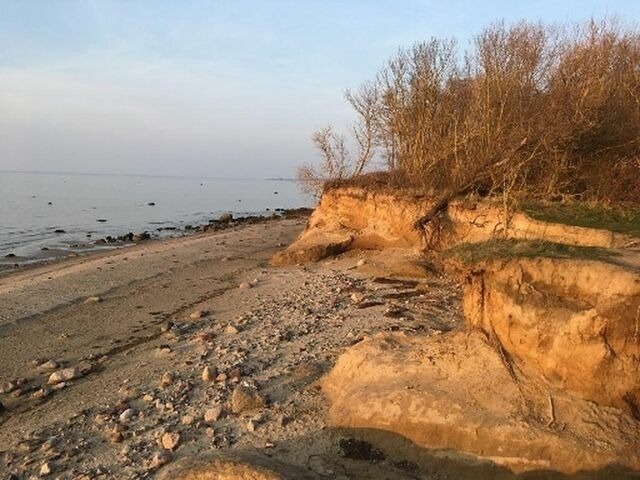 Ferienhaus in Hohen Wieschendorf - Strandhaus Fiete - Haus Walfisch - ABC330 - Bild 11