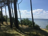 Ferienhaus in Hohen Wieschendorf - Strandhaus Fiete - Haus Walfisch - ABC330 - Bild 14