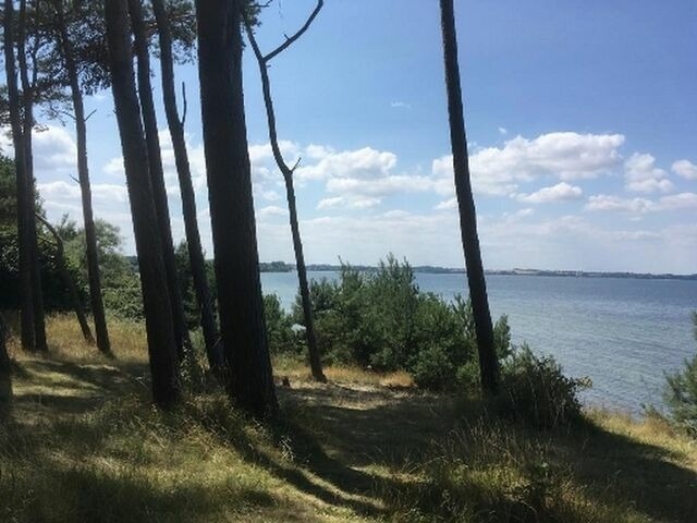 Ferienhaus in Hohen Wieschendorf - Strandhaus Fiete - Haus Walfisch - ABC330 - Bild 14