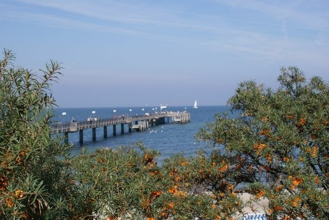 Ferienwohnung in Hohen Wieschendorf - Meeresbrise Ostsee - ABC166 - Bild 17
