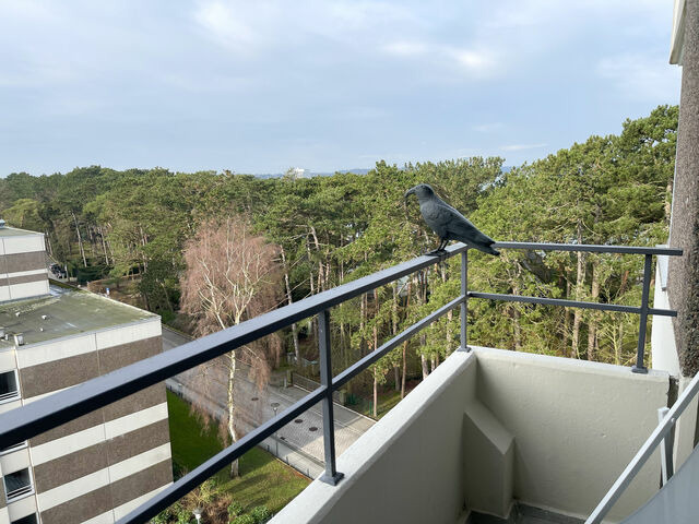 Ferienwohnung in Niendorf/Ostsee - Appartment am Meer 202 - Bild 9