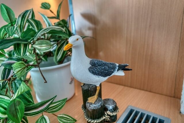 Ferienwohnung in Heiligenhafen - "Kleine M&ouml;we" Ferienpark - Haus Q, App. 0Q0108 - Bild 6