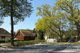 Ferienwohnung in Prerow - Buchentraum 1/4 - Bild 17