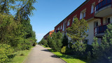 Ferienwohnung in K&uuml;hlungsborn - D&uuml;nengarten - 40-33 - Bild 12