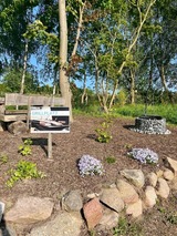 Ferienhaus in Mariendorf - Naturidyll Mariendorf - Reethus Rotbuche - Bild 5