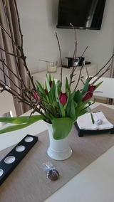 Ferienhaus in Zierow - Reethaus "Calappa" - Bild 5