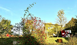 Ferienwohnung in Sellin - Ferienpark Seedorf, Seezauber - Bild 19