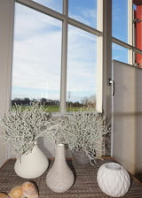 Ferienhaus in Zierow - Reethaus "Godewind" - Bild 6
