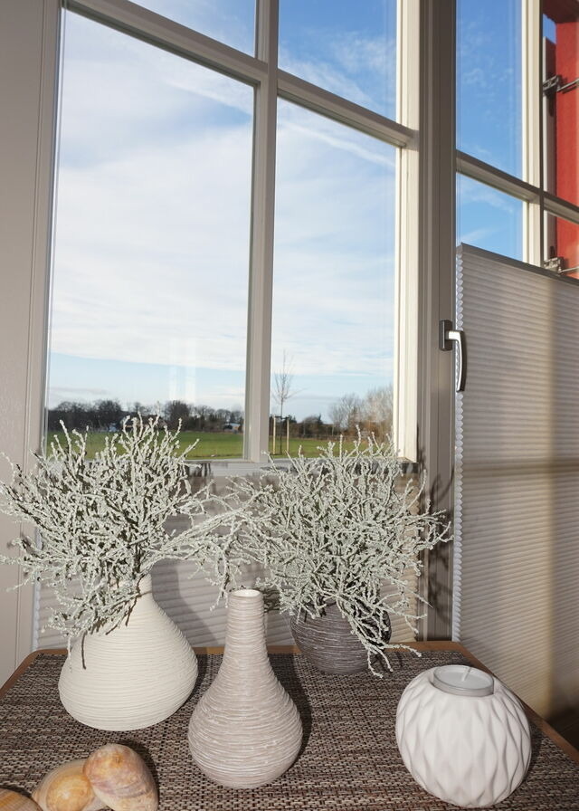 Ferienhaus in Zierow - Reethaus "Godewind" - Bild 6