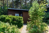 Ferienhaus in Baabe - Ferienhaus am Strand 88 - Bade- & Saunawelt t&auml;glich inklusive - Bild 16