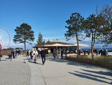 Ferienwohnung in Gr&ouml;mitz - Ostseemuschel Gr&ouml;mitz - D&uuml;nenpark