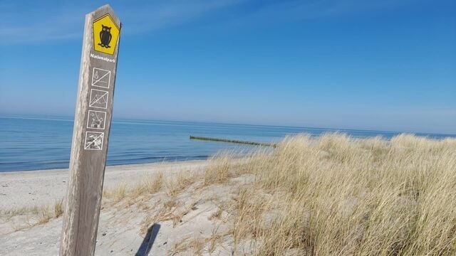 Ferienhaus in Pruchten - Ferienhaus am Nationalpark Fischland Dar&szlig; / Zingst Kamin, gro&szlig;er Garten, 3 SZ - Bild 14